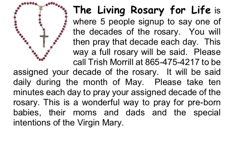2020 Cause Of Life: Rosary